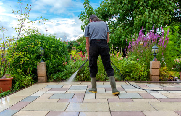 Best Residential Pressure Washing in Ocean Springs, MS